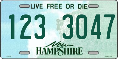 NH license plate 1233047