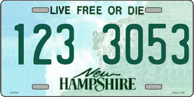 NH license plate 1233053