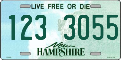 NH license plate 1233055