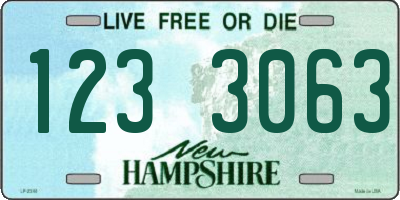NH license plate 1233063