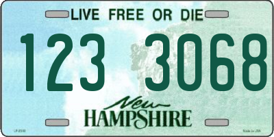 NH license plate 1233068