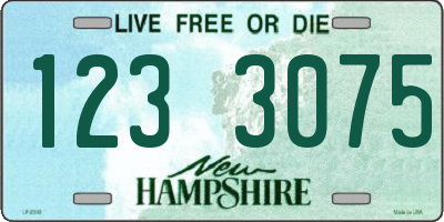 NH license plate 1233075