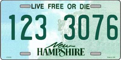 NH license plate 1233076
