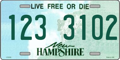 NH license plate 1233102