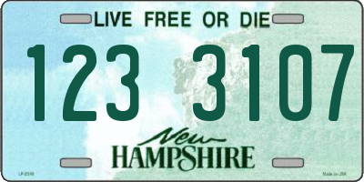 NH license plate 1233107