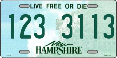 NH license plate 1233113
