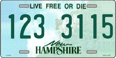 NH license plate 1233115