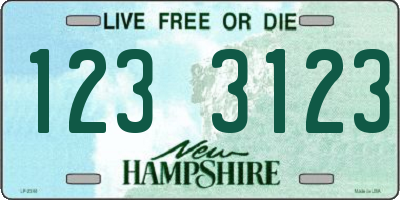 NH license plate 1233123