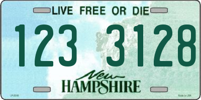 NH license plate 1233128