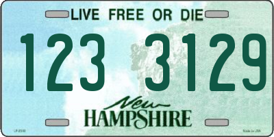 NH license plate 1233129