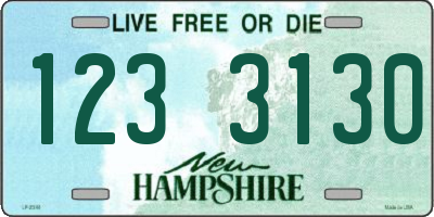 NH license plate 1233130