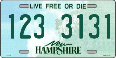 NH license plate 1233131