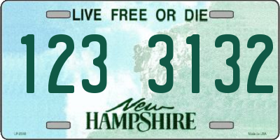 NH license plate 1233132