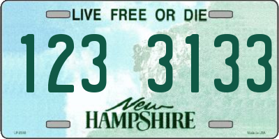NH license plate 1233133