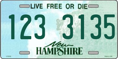 NH license plate 1233135