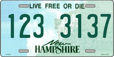NH license plate 1233137