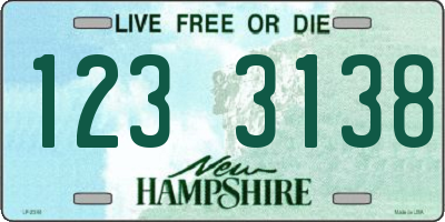 NH license plate 1233138