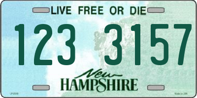 NH license plate 1233157