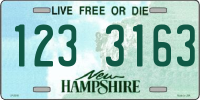 NH license plate 1233163