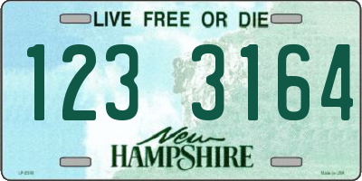 NH license plate 1233164