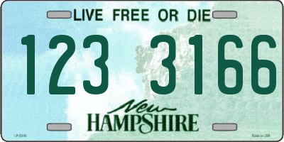 NH license plate 1233166