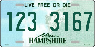 NH license plate 1233167
