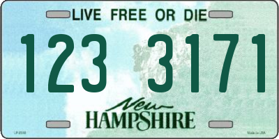 NH license plate 1233171