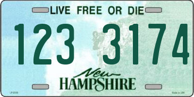 NH license plate 1233174