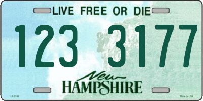 NH license plate 1233177