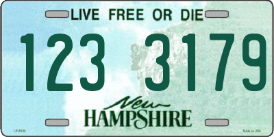 NH license plate 1233179