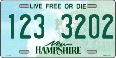 NH license plate 1233202