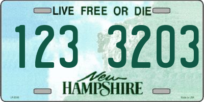 NH license plate 1233203