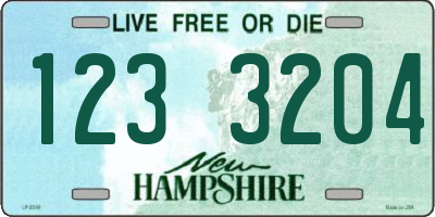 NH license plate 1233204