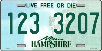 NH license plate 1233207