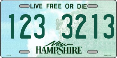 NH license plate 1233213