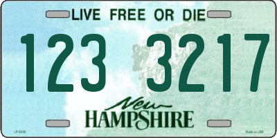 NH license plate 1233217