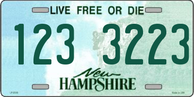 NH license plate 1233223