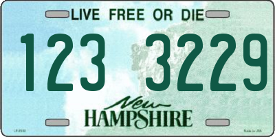 NH license plate 1233229