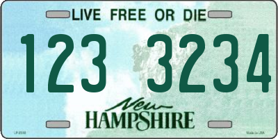 NH license plate 1233234