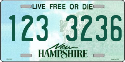 NH license plate 1233236