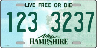 NH license plate 1233237