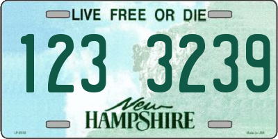 NH license plate 1233239