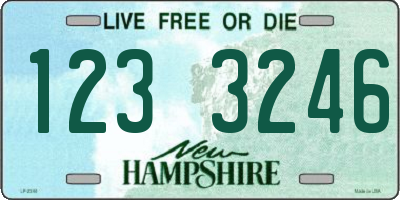 NH license plate 1233246