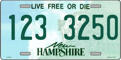 NH license plate 1233250