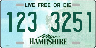 NH license plate 1233251