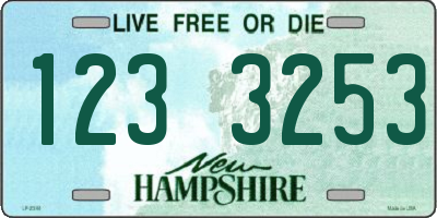 NH license plate 1233253
