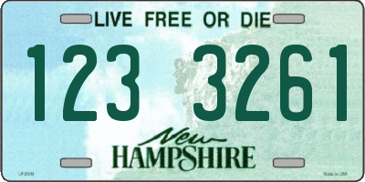 NH license plate 1233261