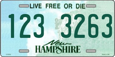 NH license plate 1233263