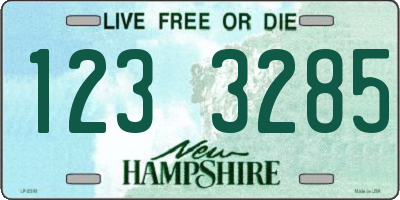 NH license plate 1233285