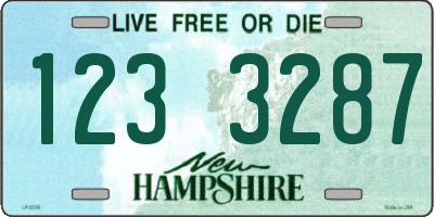 NH license plate 1233287